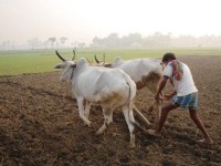 அனைத்து சாதியினரையும் நகை மதீப்பிட்டாளராக அங்கீகரிக்க வேண்டும்.
