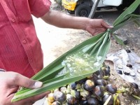 மது விலக்குக் கோரி தமிழ் மாநில காங்கிரஸ் கட்சியினர் ஆர்ப்பாட்டம்