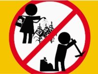 பெரம்பலூர் மாவட்டத்தில் குழந்தை தொழிலாளர்கள் 3 பேர் மீட்பு