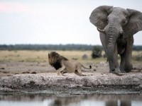 மாவட்ட அளவிலான வேலைவாய்ப்பு முகாம் : மாவட்ட ஆட்சியர் டாக்டர்.தரேஸ் அஹமது அழைப்பு