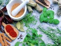 வீடுகளில் மூலிகை தோட்டம் அமைக்க மானியம் : பெரம்பலூர் தோட்டக்கலைத் துறை அறிவிப்பு