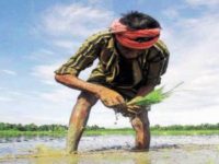 மாதிரிப் படம்