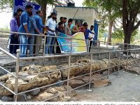 பெரம்பலூர் அருகே 10 கோடி ஆண்டுகள் பழமையான கல்மரம்: மாணவர்கள், சுற்றுலா பயணிகள் பார்வையிட வருகை அதிகரிப்பு!