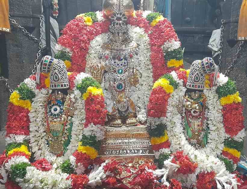 பெரம்பலூர்: ஸ்ரீதேவி, பூதேவி சமேத ஸ்ரீசீனிவாச பெருமாளுக்கு திருக்கல்யாணம்!