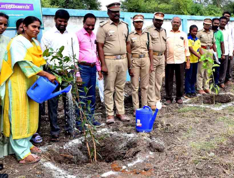பெரம்பலூர்: 1350 மரக்கன்றுகள் நடும் பணி கலெக்டர் தொடங்கி வைத்தார்!