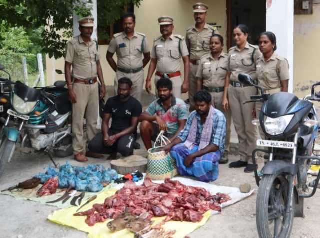பெரம்பலூர்: நாய்களை வைத்து வனவிலங்குளை வேட்டையாடி, கூறுபோட்டு கறி விற்ற 3 பேர் கைது! இறந்த நாய்கறியை மான்கறி என விற்றது விசாரணையில் அம்பலம்!
