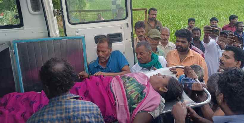பெரம்பலூர்: பயிருக்கு மருந்து தெளித்த பெண் விவசாயி மின்சாரம் தாக்கி பலி!