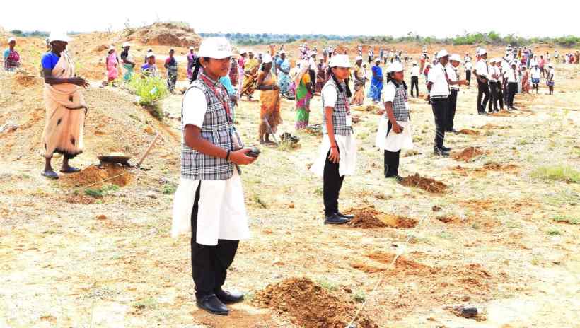 பெரம்பலூர்: ஒரு லட்சம் பனை விதைகள் நடும் பணி; கலெக்டர் தொடங்கி வைத்தார்!