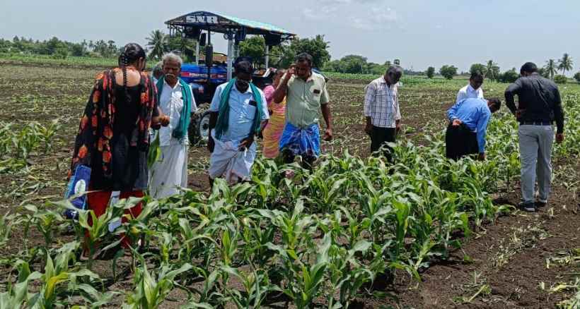 பெரம்பலூர்: களைக்கொல்லியால் விபரீதம்; 23.5 ஏக்கர் மக்காச்சோள பயிர்கள் இறந்தன! டிராக்டரை விட்டு உழவு செய்த விவசாயிகள் விற்பனையாளரிடம் வாக்குவாதம்!