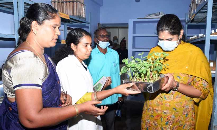 மண், விதை பரிசோதனை ஆய்வகங்களில் பெரம்பலூர் கலெக்டர் ஆய்வு!