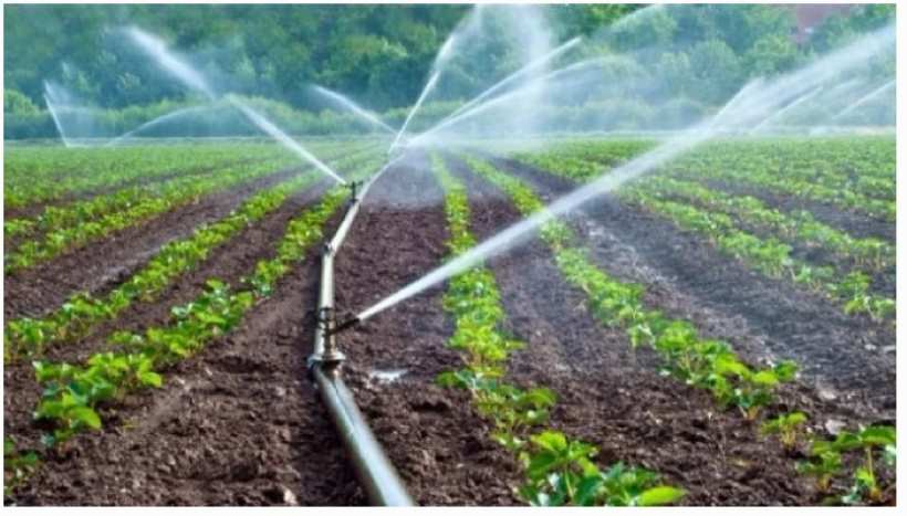 பெரம்பலூர்: மாவட்ட விவசாயிகளுக்கு 100 சதவீத மானியத்தில் சொட்டு நீர் பாசனம்; கலெக்டர் தகவல்!