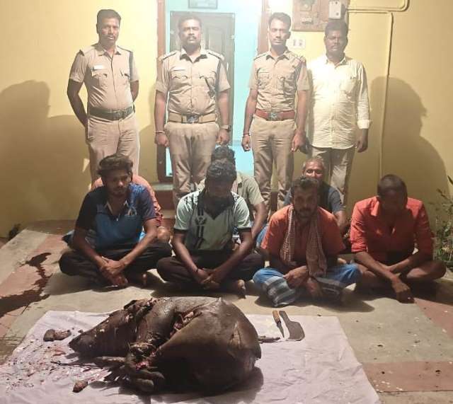 பெரம்பலூர்: காட்டுப்பன்றியை கூறு போட முயன்ற 7 பேருக்கு ரூ. 3 லட்சம் அபராதம்!