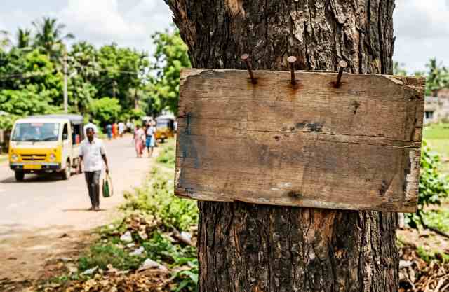மரங்களில் ஆணி அடித்து துன்புறுத்தி விளம்பரம் செய்வதை தடுக்க அளித்த மனு மீது நடவடிக்கை எடுக்க கோரி சமூக ஆர்வலர் மனு!